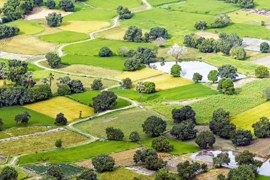 Expropiación-forzosa-en-España